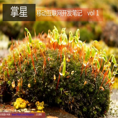 掌星 移动互联网开发笔记-Vol001