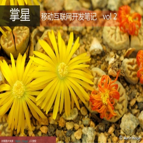 掌星 移动互联网开发笔记-Vol002