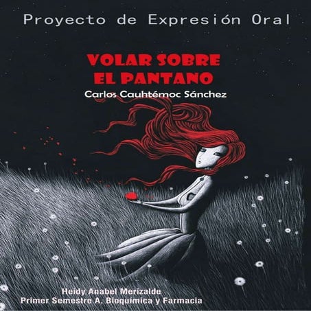 Volar soble el pantano resumen