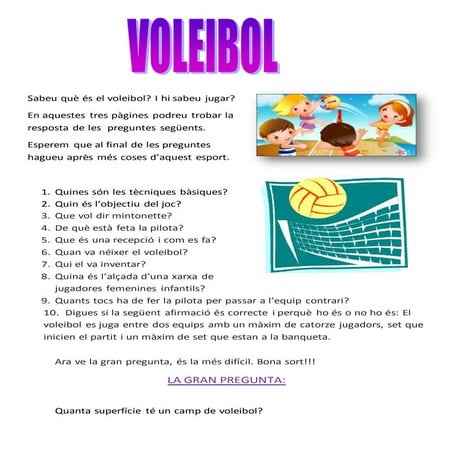 Voleibol