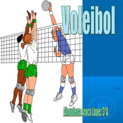 Trabajo / Información sobre el Voleibol