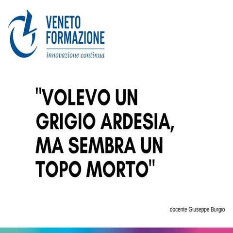 Volevo un grigio ardesia, ma sembra un topo morto