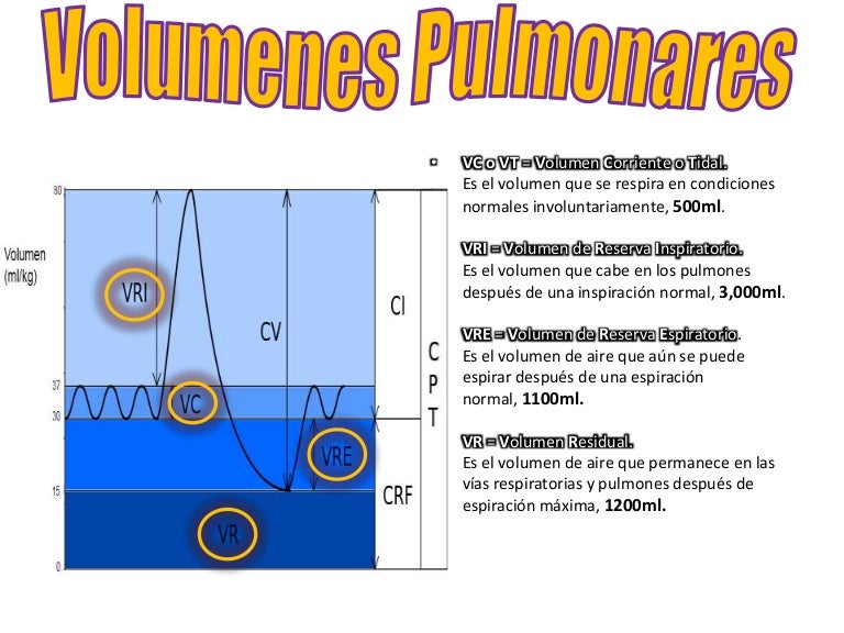 Volumenes y capacidades pulmonares Volumenes y capacidades pulmonares