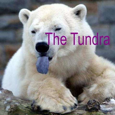 /Volumes/kingston/presentation2