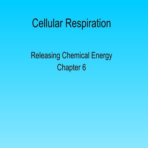 Cellular Respiration 