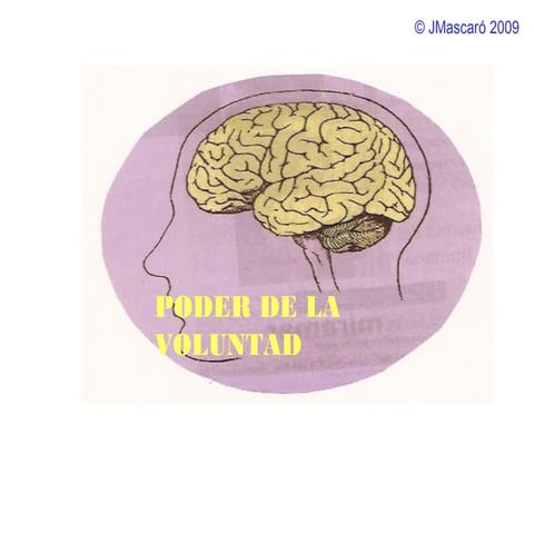 Voluntad