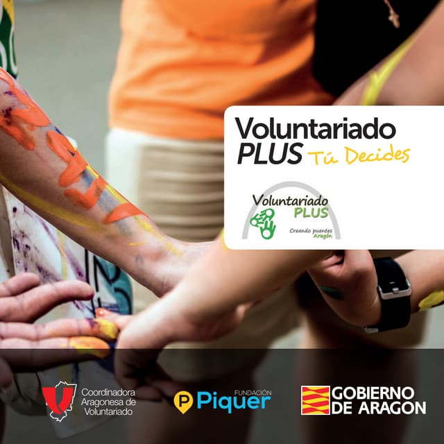 Voluntariado plus
