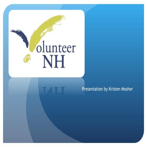 Volunteer Nh Internship