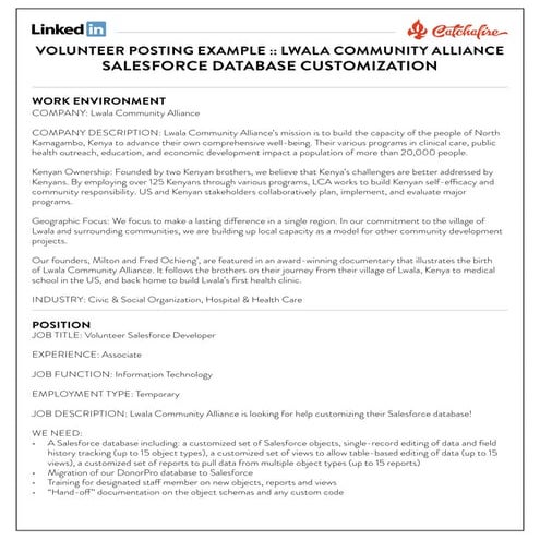 Volunteer salesforce developer posting example