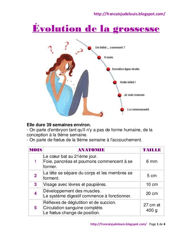 Evolution De La Grossesse