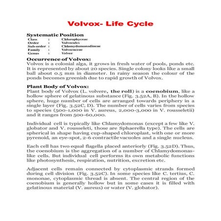 Volvox-Life Cycle and rolling algae in bsc 1 sem
