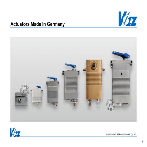 Volz Servo Presentation 