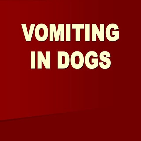 Vomiting in Dogs | PPT | Digestive Disorders | Diseases and Conditions