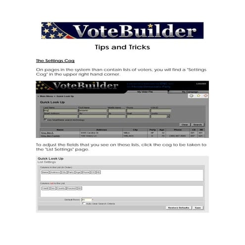 Vote Builder Tips