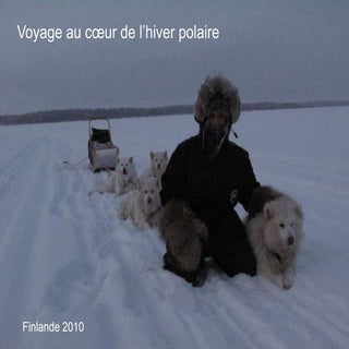 Voyage En Finlande 2010