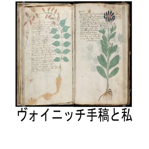 ヴォイニッチ手稿と私