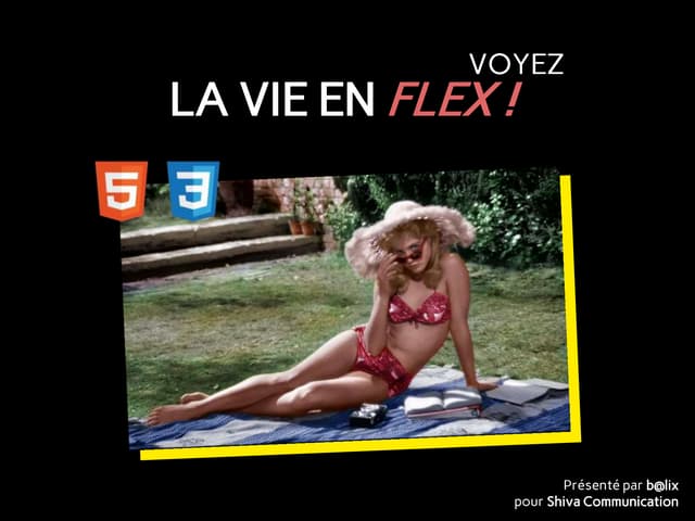 La vie en flex