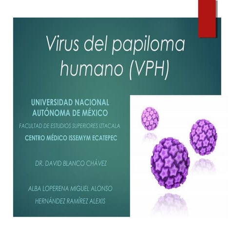 Virus del Papiloma Humano