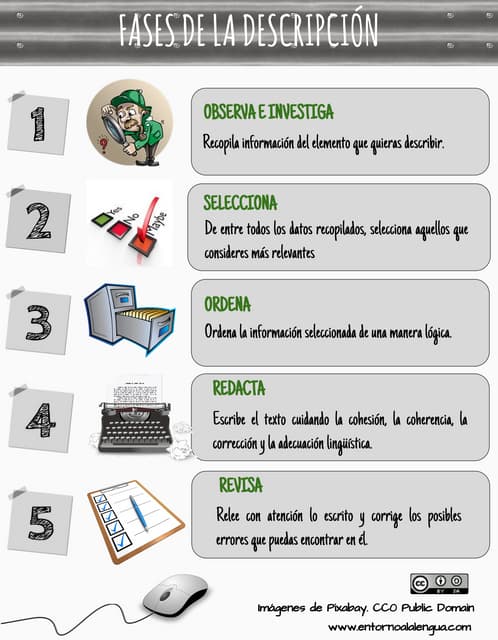 Fases de la descripción.  REA “Yinc...