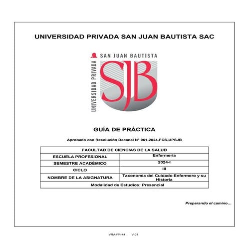VRA-FR-044 Guía Práctica Taxonomía del Cuidado Enfermero (4).pdf
