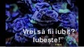 Vrei sa fii iubit? Iubeste!(Averio)