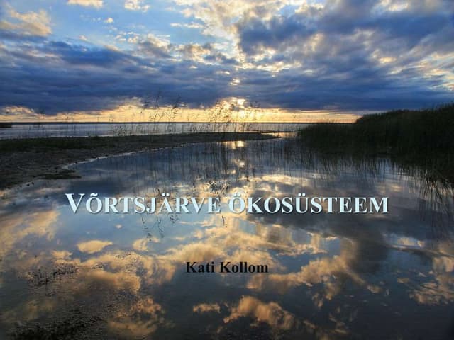 Võrtsjärve ökosüsteem