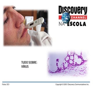 QUESTIONÁRIO VÍRUS