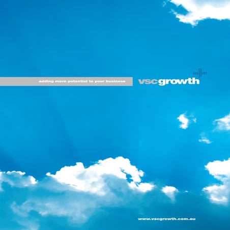 VSC Growth Company Profile
