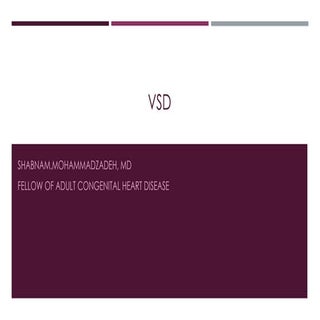 Ventricular septal defect,  congeni...
