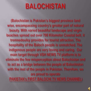 Vsh news presentation