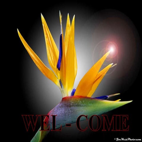 Breeding methods in cross pollinated crops with major emphasis on population ...