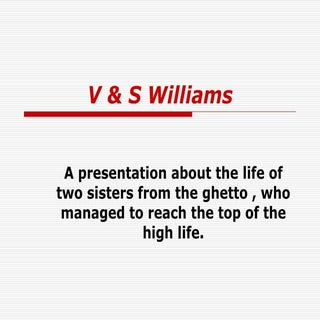 V & S Williams Margarita