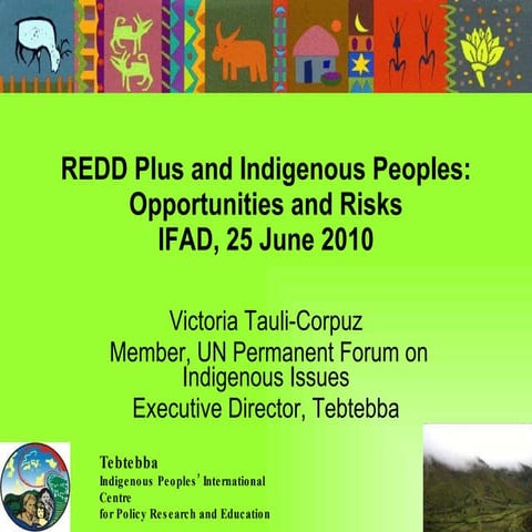 REDD Plus and Indigenous Peoples: Opportunities and Risks