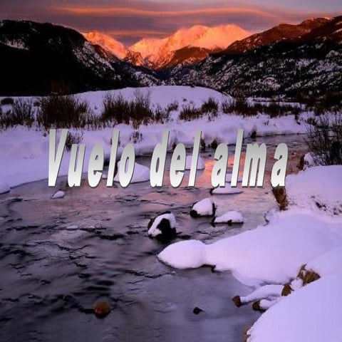 Reflexiones Vuelo del alma