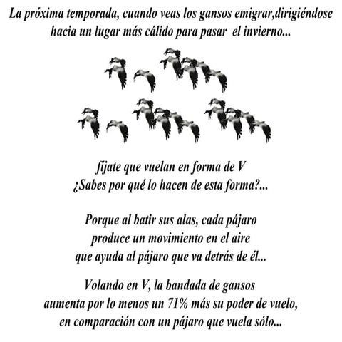 Vuelo de los gansos