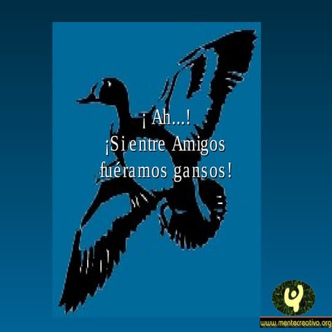 Reflexiones Vuelo de los gansos