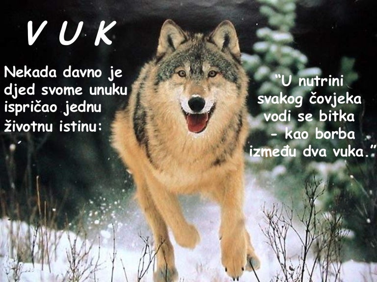 Vuk