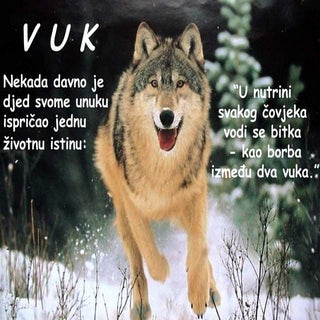 Vuk