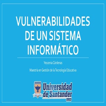 Vulnerabilidades de un sistema informático