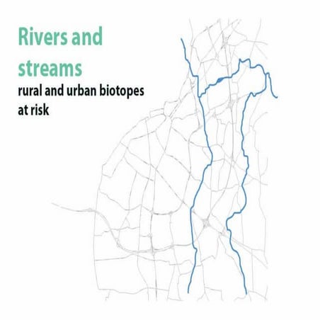 streams at risk