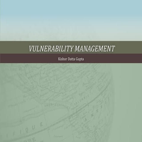 Software Vulnerability management 