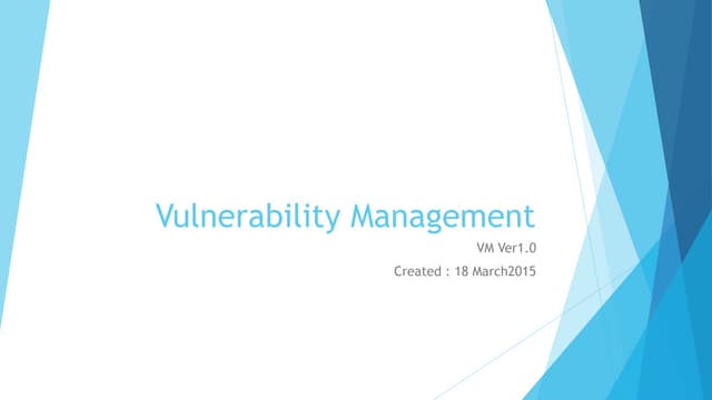 Vulnerability manager v1.0