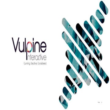 Social Media Marketing Agency White Label Program - Vulpine Interactive