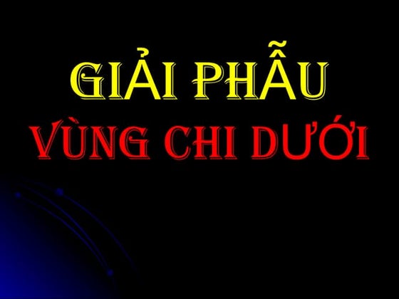 Mẫu quy trình sản xuất, hồ sơ chế biến đóng gói lô và danh mục hồ sơ lô ...