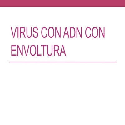 Tipos de virus y caracteristicas resumen