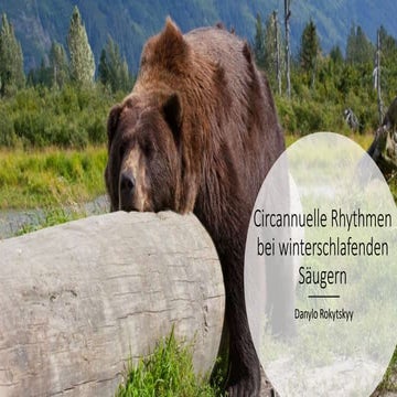 Wann Gehen Schildkröten In Den Winterschlaf Winterschlaf, Circannuelle Rhythmen, Biologische Rhythmen Biologie | PPT