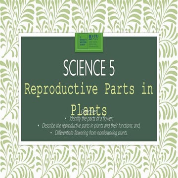 Reroductive parts in Plants