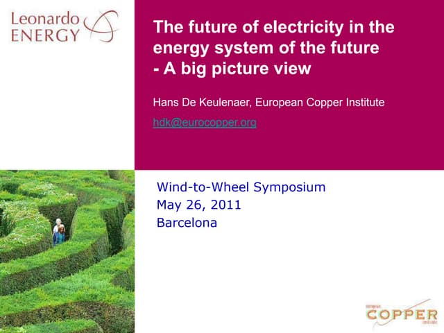 The Future of Electricity in the En...