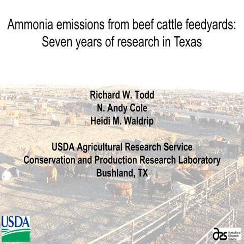 Ammonia Emissions and Emission Factors: A Summary of Investigations at Beef C...