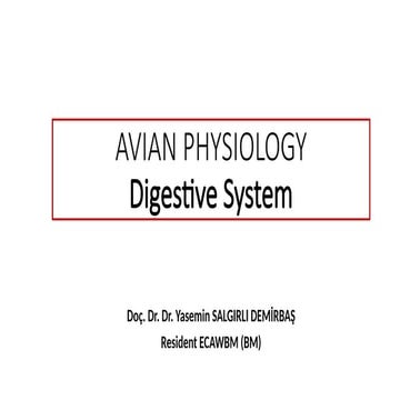 w4 (1).pptx digestive system poultry zooloy